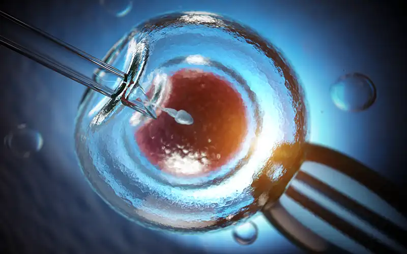 Artificial insemination