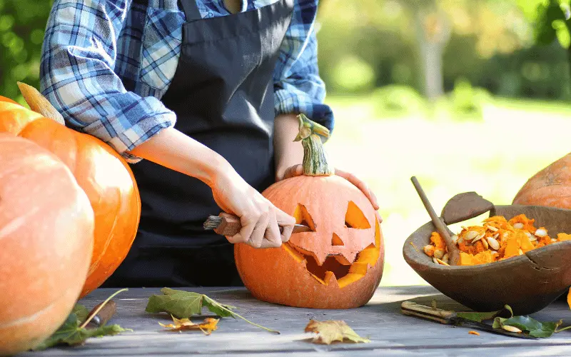 Carving a fresh pumpkin outdoors for Halloween with seeds and healthy autumn ingredients on a rustic wooden table